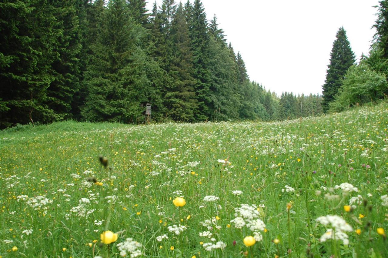 Ferienwohnung Reifberg Ilmenau Camera foto